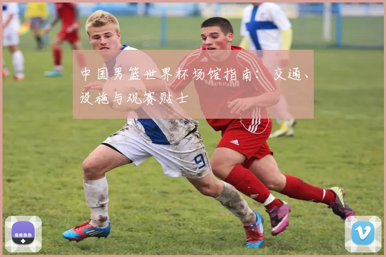 中国男篮世界杯场馆指南：交通、设施与观赛贴士