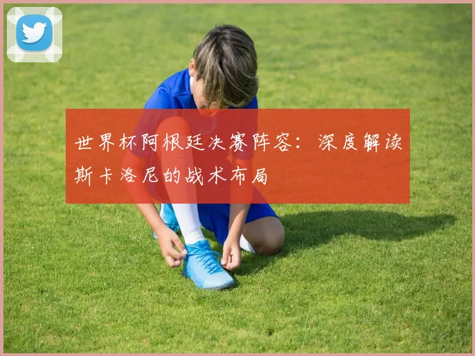 世界杯阿根廷决赛阵容：深度解读斯卡洛尼的战术布局
